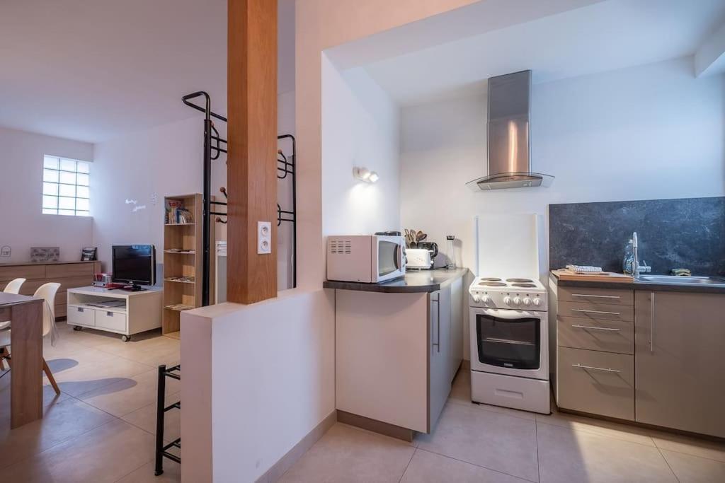 Le Dauphin Apartment Amboise Luaran gambar